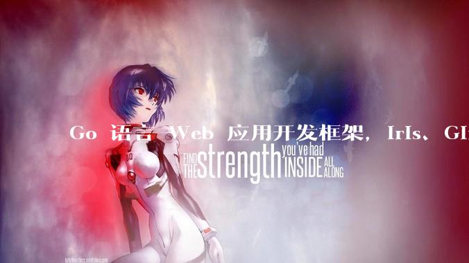 Go 语言 Web 应用开发框架,Iris、Gin、Echo,哪一个更适合大型项目?