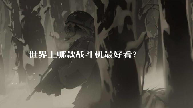 世界上哪款战斗机最好看?