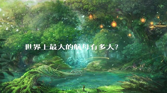 世界上最大的航母有多大?