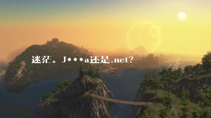迷茫。J***a还是.net?