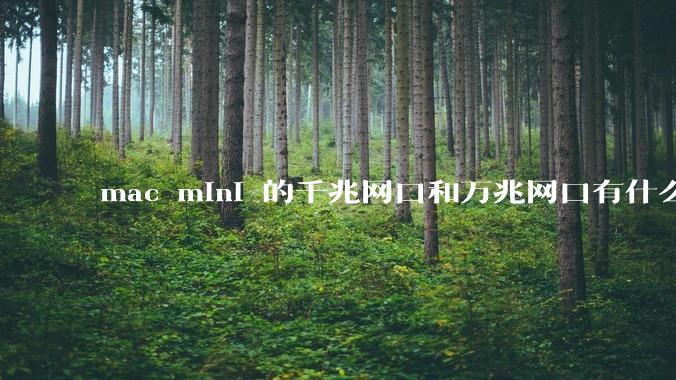 mac mini 的千兆网口和万兆网口有什么区别,哪种更适合家庭使用呢?