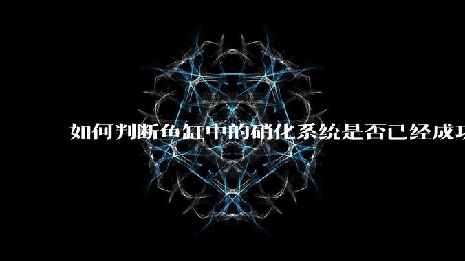 如何判断鱼缸中的硝化系统是否已经成功建立?