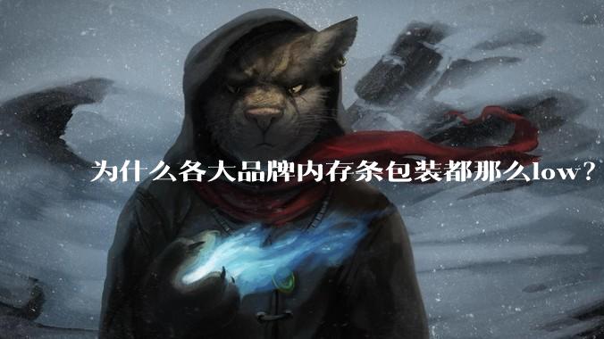 为什么各大品牌内存条包装都那么low?