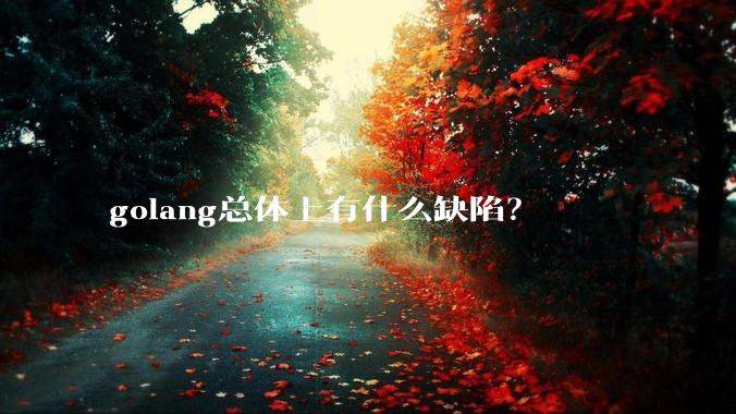 golang总体上有什么缺陷?