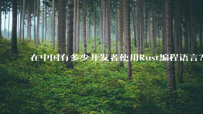 在中国有多少开发者使用Rust编程语言?