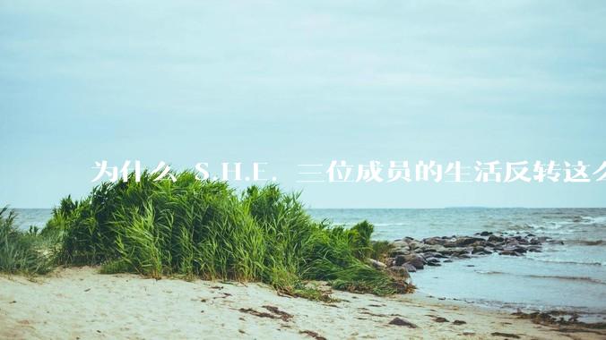 为什么 S.H.E. 三位成员的生活反转这么大?