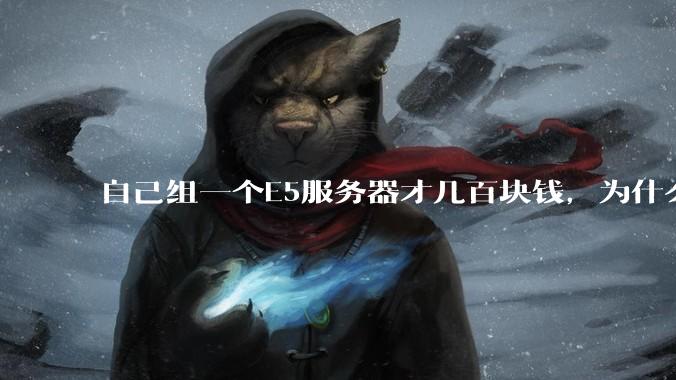 自己组一个E5服务器才几百块钱,为什么去阿里云租这么贵?