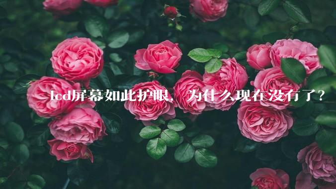 lcd屏幕如此护眼,为什么现在没有了?