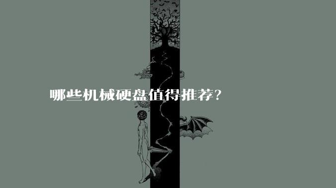 哪些机械硬盘值得推荐?