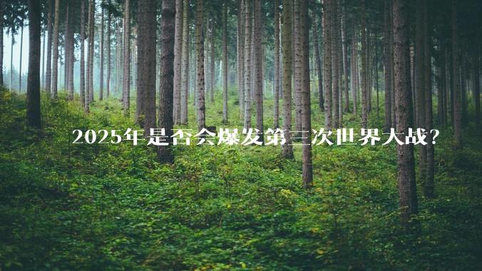 2025年是否会爆发第三次世界大战?