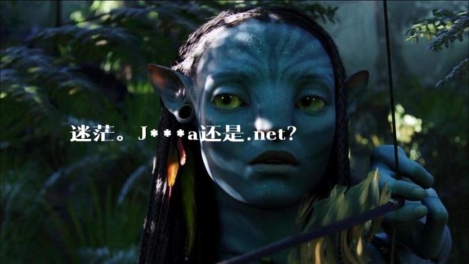 迷茫。J***a还是.net?