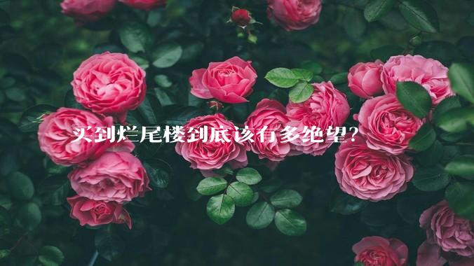 买到烂尾楼到底该有多绝望?