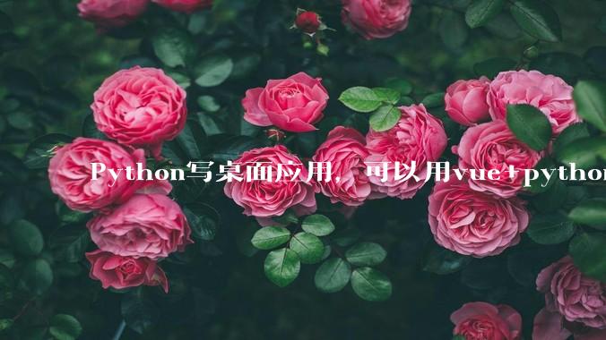Python写桌面应用,可以用vue+python再通过打包的形式实现吗?如果可以,应该怎么写?