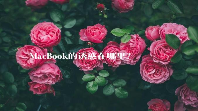 MacBook的诱惑在哪里?