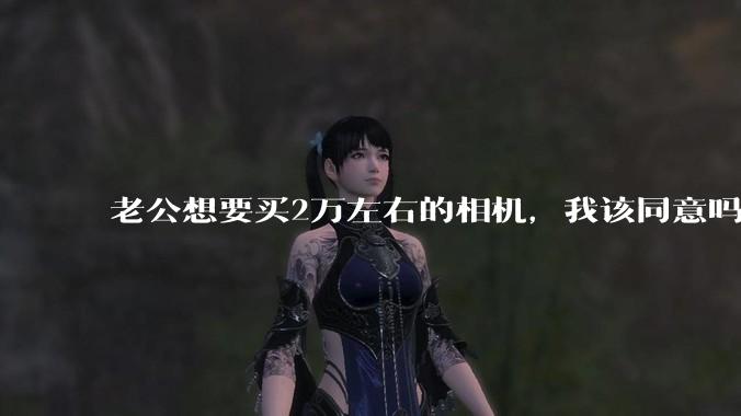 老公想要买2万左右的相机,我该同意吗?