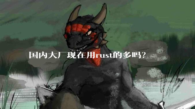 国内大厂现在用rust的多吗?