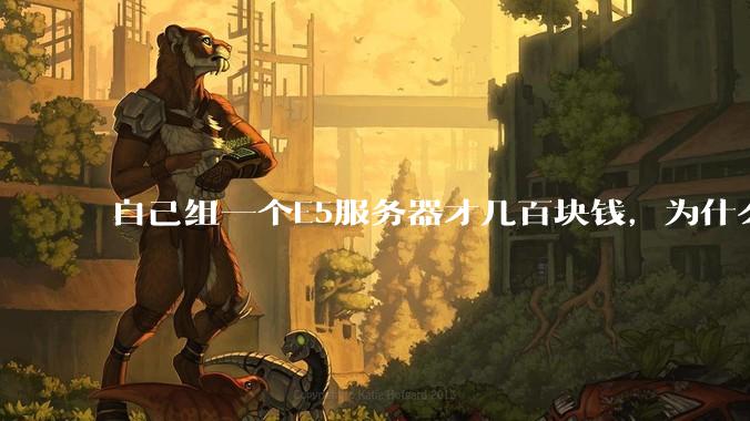 自己组一个E5服务器才几百块钱,为什么去阿里云租这么贵?
