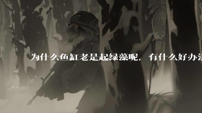 为什么鱼缸老是起绿藻呢,有什么好办法不用整天擦鱼缸?