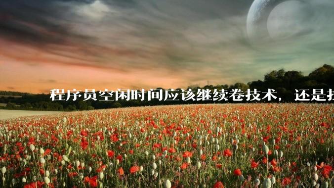 程序员空闲时间应该继续卷技术,还是找其他副业?