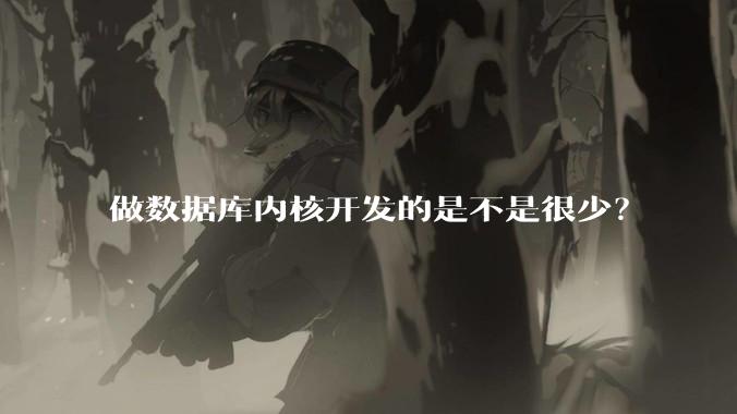 做数据库内核开发的是不是很少?