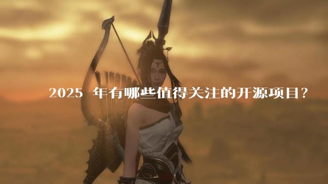 2025 年有哪些值得关注的开源项目?