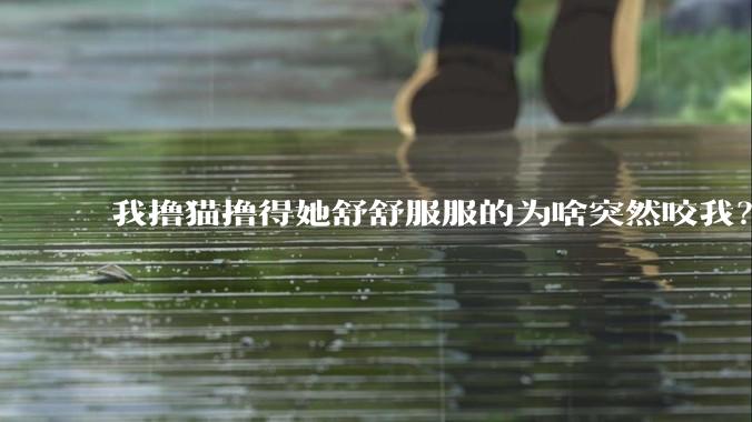 我撸猫撸得她舒舒服服的为啥突然咬我?