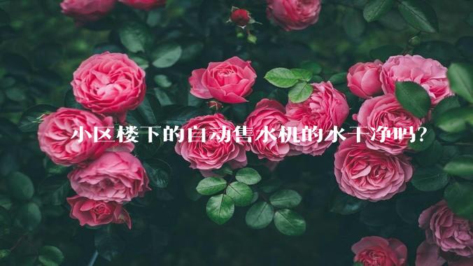 小区楼下的自动售水机的水干净吗?