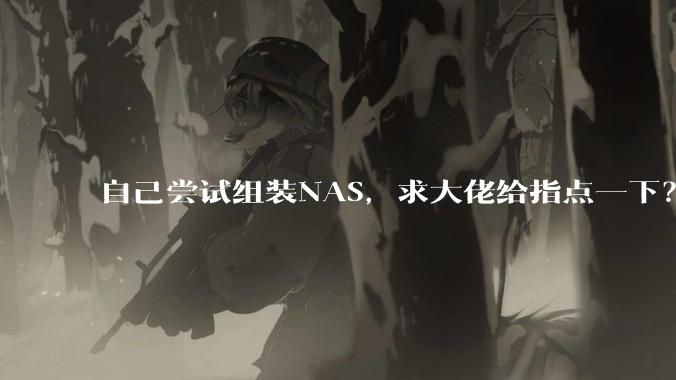 自己尝试组装NAS,求大佬给指点一下?