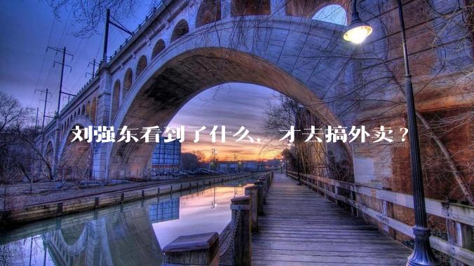 刘强东看到了什么,才去搞外卖?