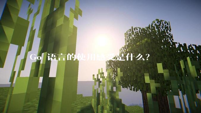 Go 语言的使用感受是什么?