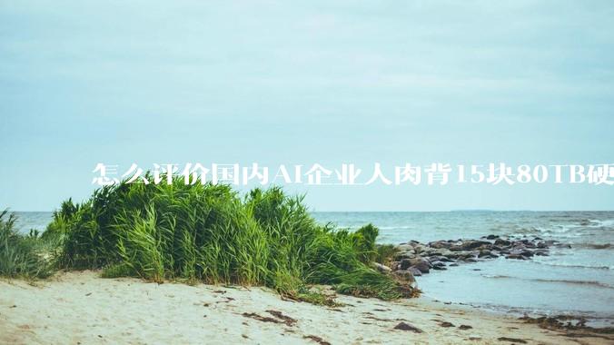 怎么评价国内AI企业人肉背15块80TB硬盘,飞去马来西亚用英伟达训练数据,以规避美国禁令?