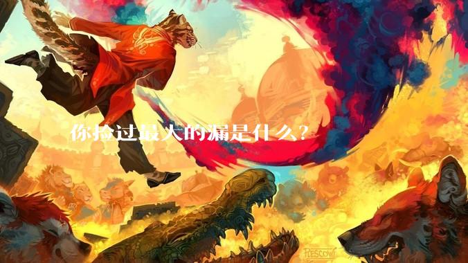 你捡过最大的漏是什么?