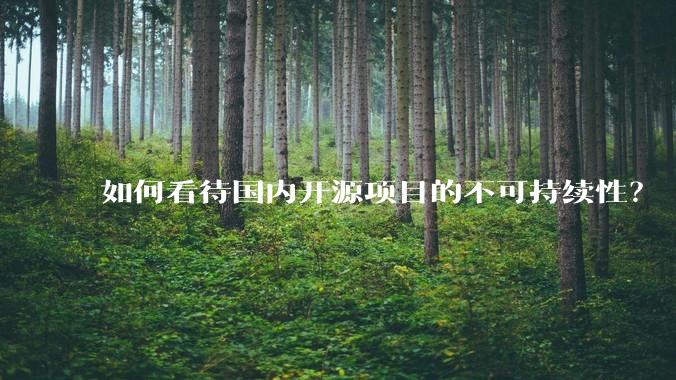 如何看待国内开源项目的不可持续性?