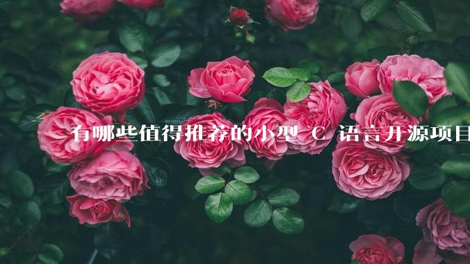 有哪些值得推荐的小型 C 语言开源项目?