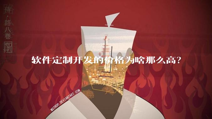软件定制开发的价格为啥那么高?