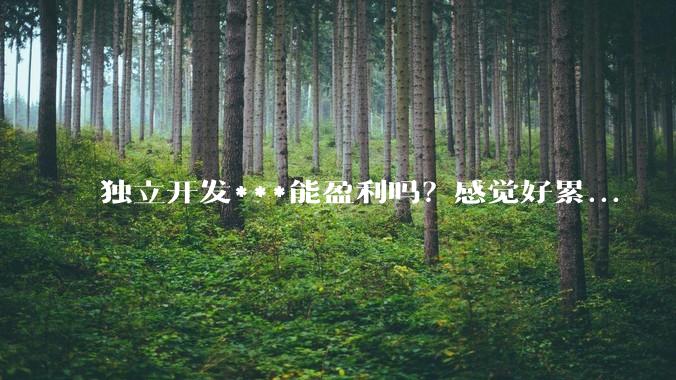 独立开发***能盈利吗?感觉好累...