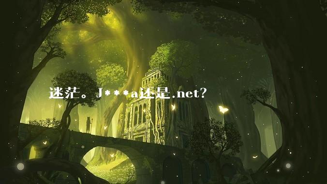 迷茫。J***a还是.net?