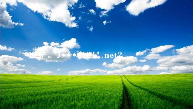 迷茫。J***a还是.net?
