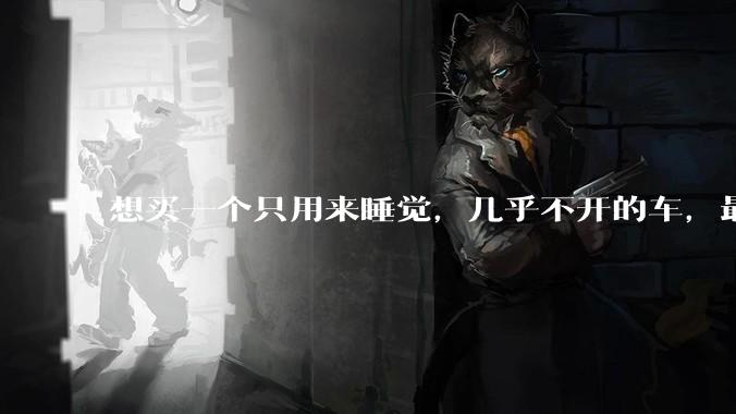 想买一个只用来睡觉,几乎不开的车,最低成本是多少?