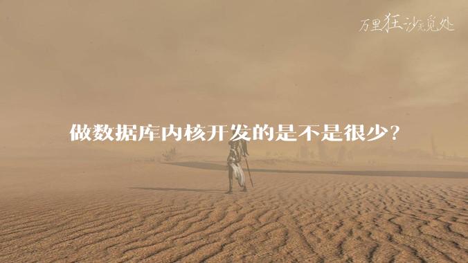 做数据库内核开发的是不是很少?