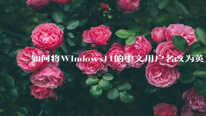 如何将Windows11的中文用户名改为英文?