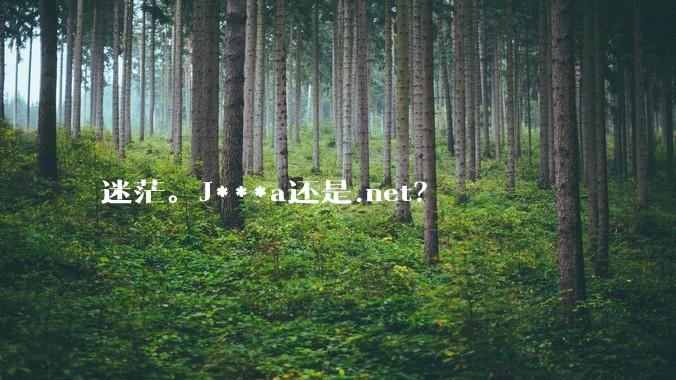 迷茫。J***a还是.net?