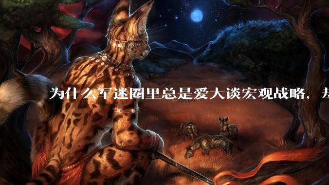 为什么军迷圈里总是爱大谈宏观战略,却很少谈战役战术?