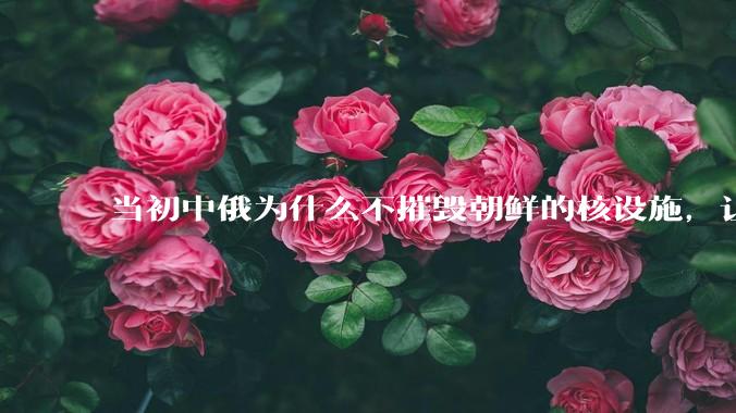 当初中俄为什么不摧毁朝鲜的核设施,让朝鲜拥有了自己的核武器?