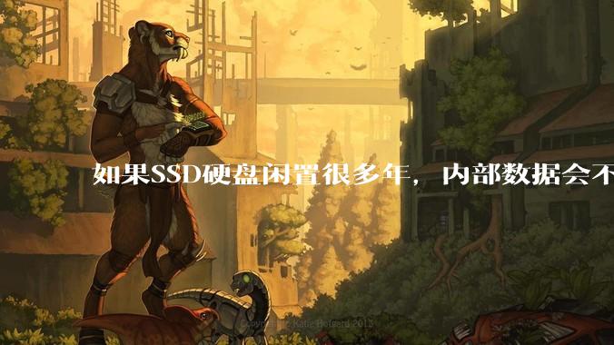 如果SSD硬盘闲置很多年,内部数据会不会丢失?
