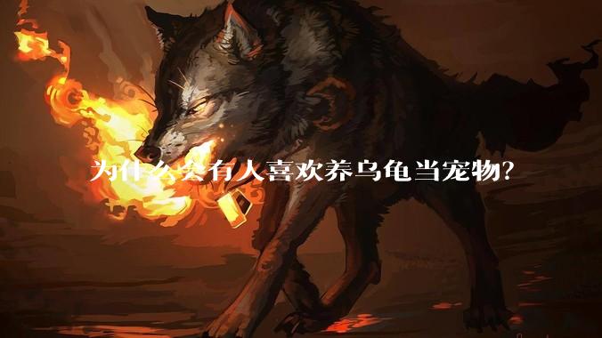 为什么会有人喜欢养乌龟当宠物?