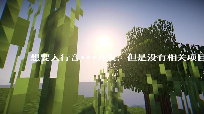 想要入行音***开发,但是没有相关项目经验怎么办?