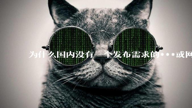 为什么国内没有一个发布需求的***或网站呢?