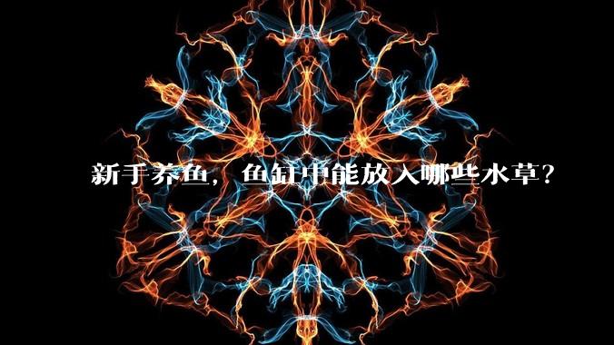 新手养鱼,鱼缸中能放入哪些水草?