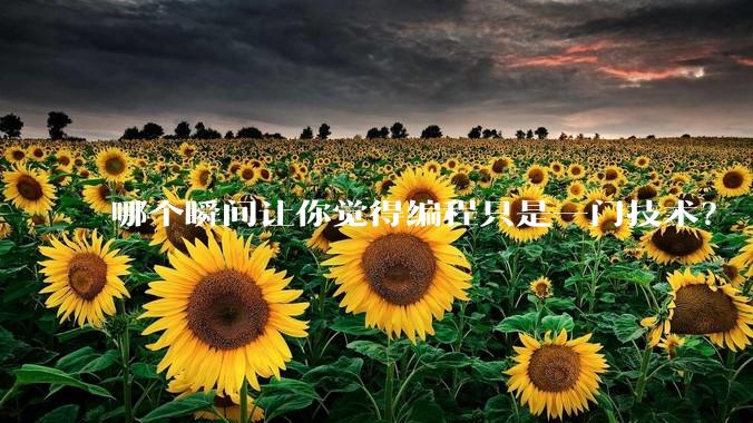 哪个瞬间让你觉得编程只是一门技术?